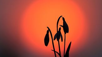 Фото из архива