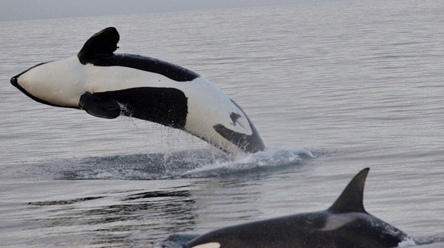 Фото из архива  РИА Новости 