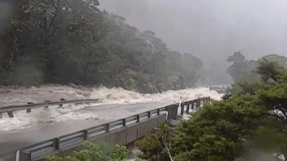 Скриншот видео соцсети Х