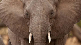 Фото Shutterstock