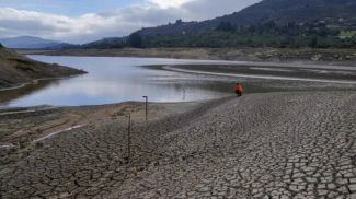 Фото соцсетей