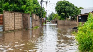 Наводнение в Мозамбике. Фото из архива Синьхуа