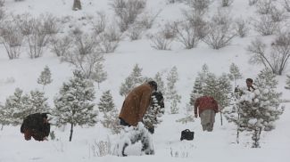 Фото Saifurahman Safi / Синьхуа / Global Look Press