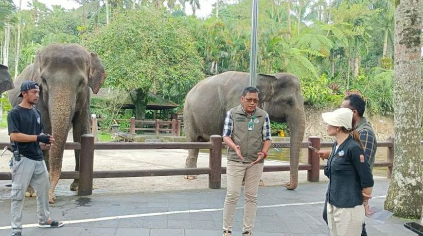 Фото агентства Antara