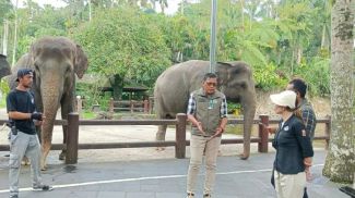 Фото агентства Antara