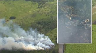 Фото The Brisbane Times