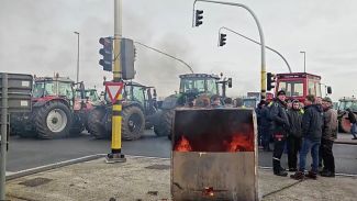 Фото Belga News Agency