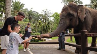Фото Aryo Mahendro/detikBali