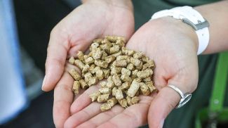 Фото из архива