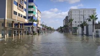 Скриншот видео EFE