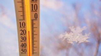 Фото из архива