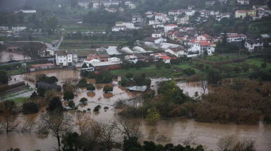 Фото The Straits Times
