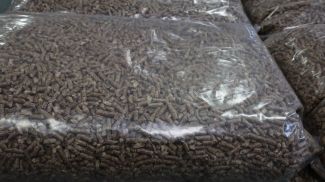 Фото из архива