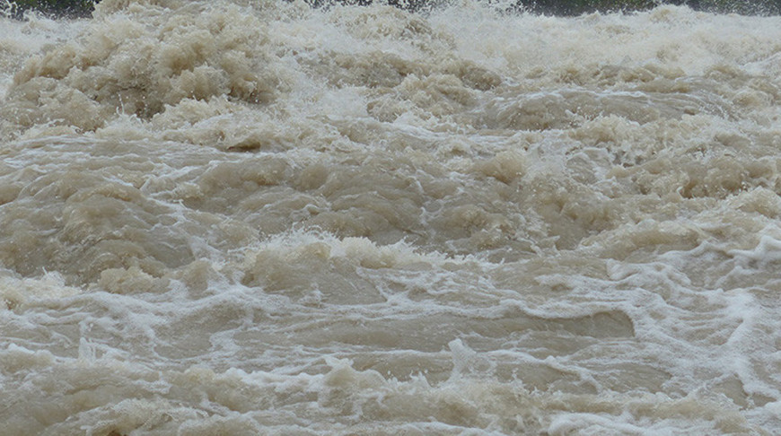 Фото из архива