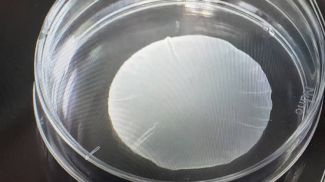 Фото The Japan Times