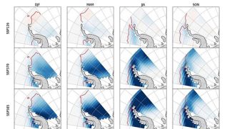 Фото Bethan J.Davies