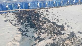 Фото Manager Online