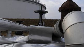 Фото из архива ТАСС