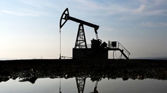 Фото из архива  РИА Новости 