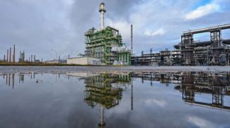 Фото Global Look Press