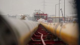 Фото из архива globallookpress.com