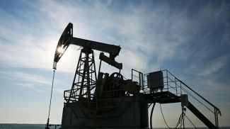 Фото из архива  РИА Новости 