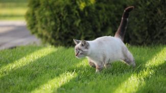 Фото из архива