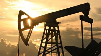 Фото из архива  РИА Новости 