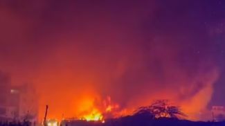 Фото из социальных сетей