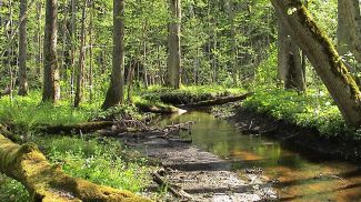 Фото латышских СМИ