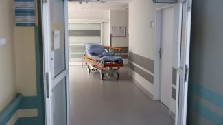 Фото Adobe Stock