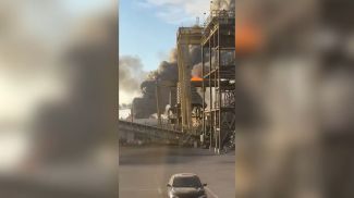 Скриншот видео из соцсети X