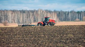 Фото Global Look Press