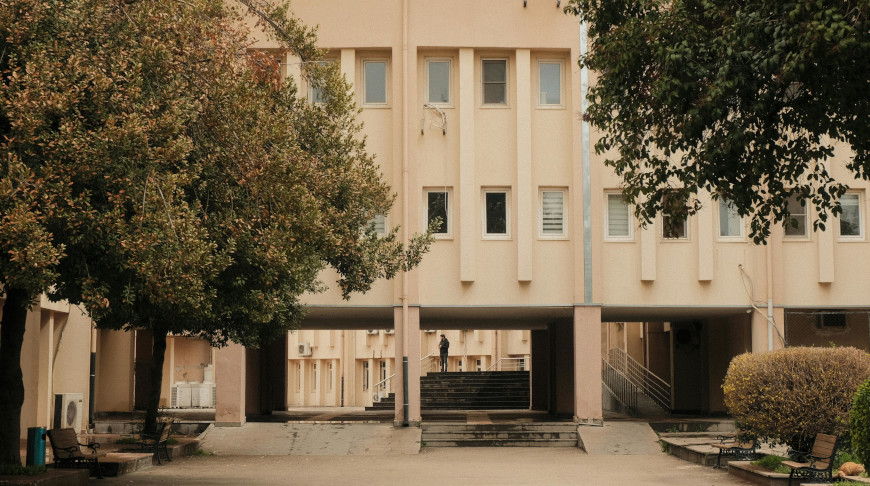 Фото Pexels