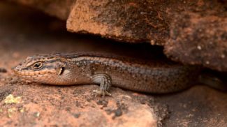 Фото из соцсетей