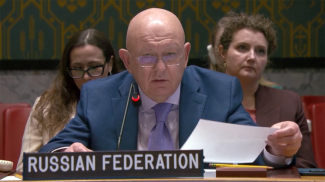 Василий Небензя. Скриншот видео ТАСС