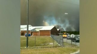 Скриншот видео ABC News