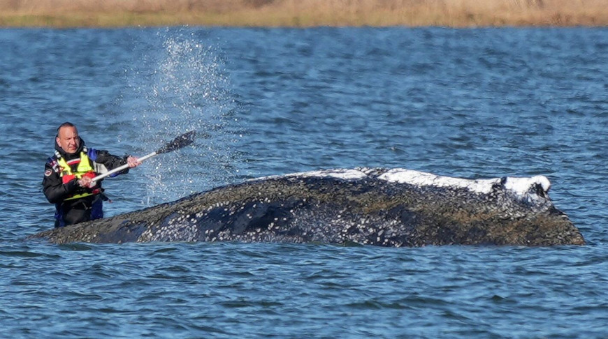 Фото Reuters