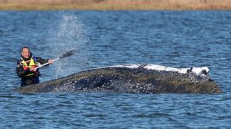 Фото Reuters