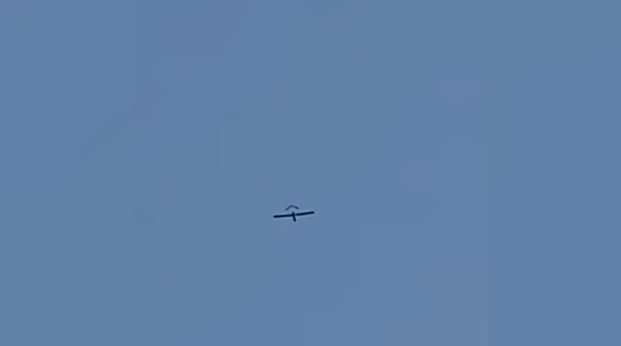 Скриншот видео из соцсети X