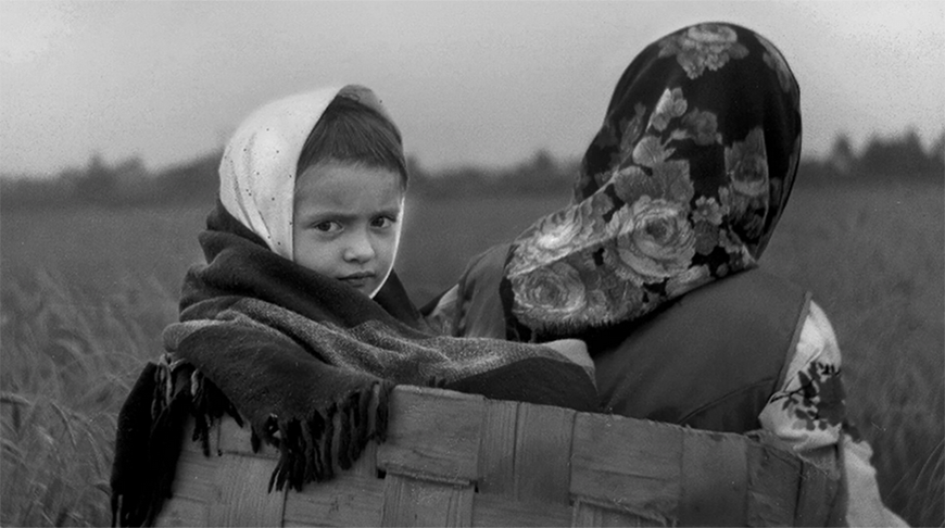 Фото Натальи Дорош