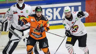 Фото ХК "Гомель"