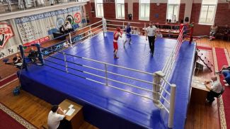 Фото белорусской федерации бокса