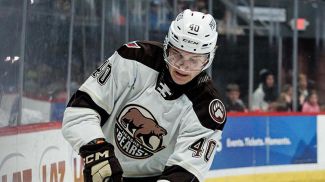 Илья Протас. Фото АХЛ