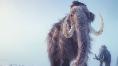 Фото Unsplash
