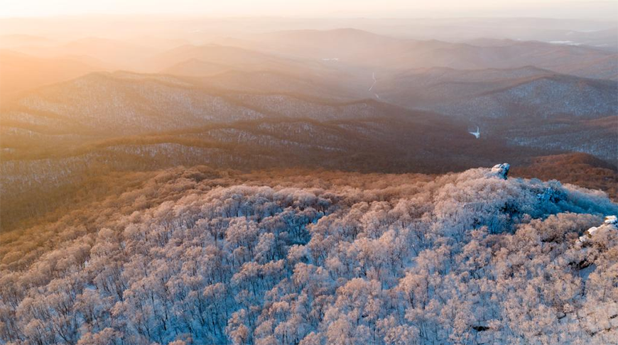 Фото Синьхуа