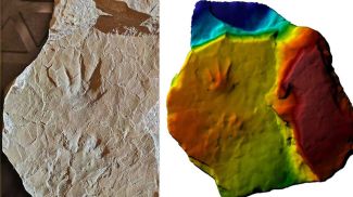 Фото Китайского университета геологических наук