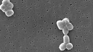 Фото Janice Carr