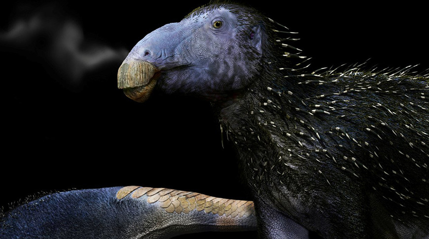 Фото naturalsciences.be