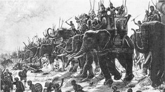 Фото из соцсетей